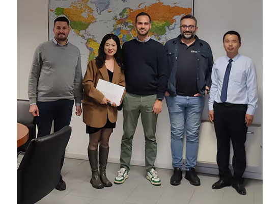 Sommet Solarplaza Roumanie